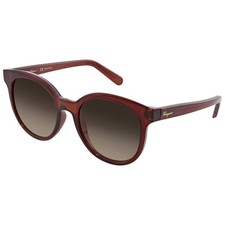 Ferragamo Brown Gradient Teacup Ladies Sunglasses SF833S 210 53 SF833S 210 53