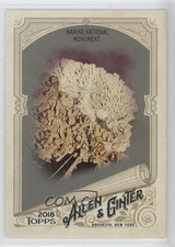 2018 Topps Allen & Ginter Hot Box Marine National Monument #84 3q5