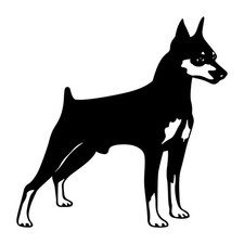 Miniature Pinscher Dog Det Decal Sticker Black Die Cut Vinyl