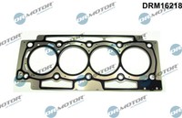 Dr.Motor Automotive DRM16218 Zylinderkopfdichtung FüR CitroËN/Peugeot
