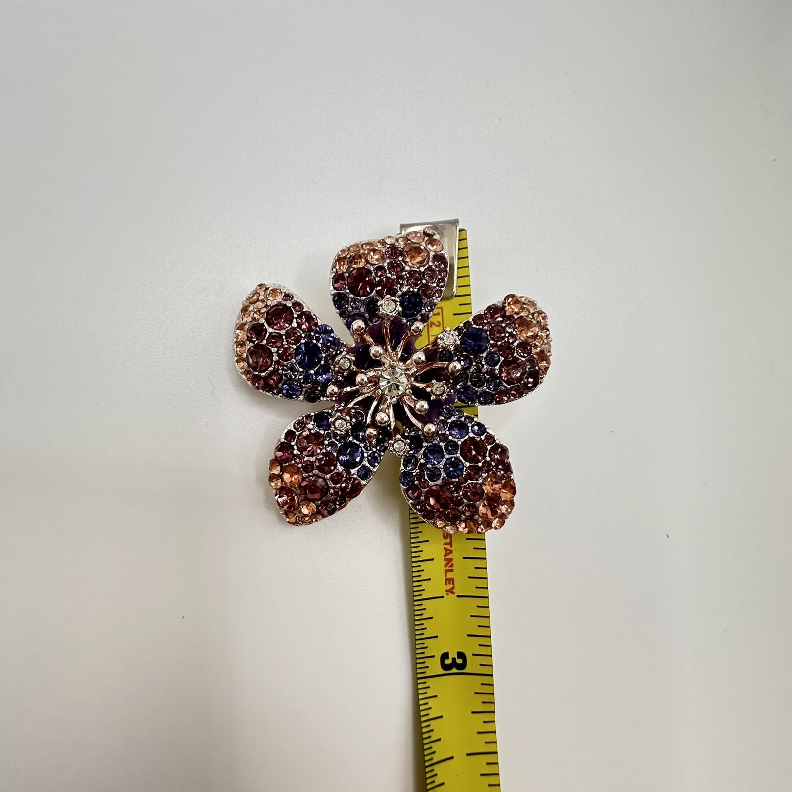 Picture 13 of 13