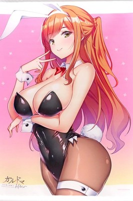 Galdma Fuyu Saki Aiko B2 Tapestry 20x28in Softmap Bonus