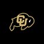 sko_buffs303