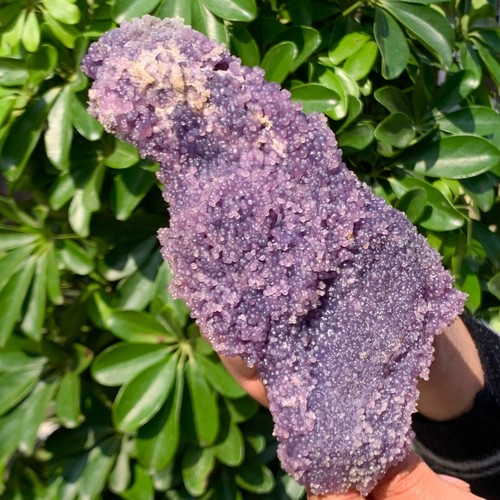 1.38LB Natural Grape Agate Chalcedony Crystal Mineral Sample - 第 1/13 張圖片