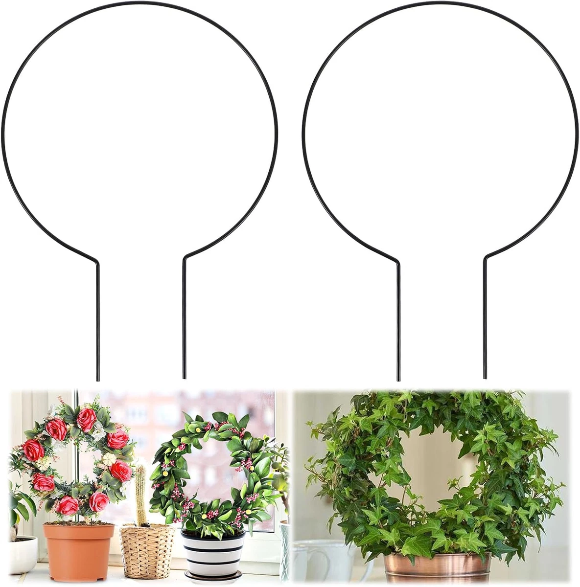 Rankhilfe Rund in Spaliere online kaufen | eBay.de