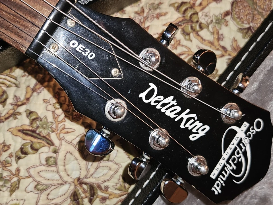 Guitarra Eléctrica Oscar Schmidt Delta King OE30 Dreadnaught Cuerpo Semi Hueco, Estuche Foto 4 de 4