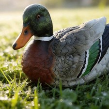 Realistic Mallard Duck Statue for Pond, Garden, Patio, Pool, Lawn Decor