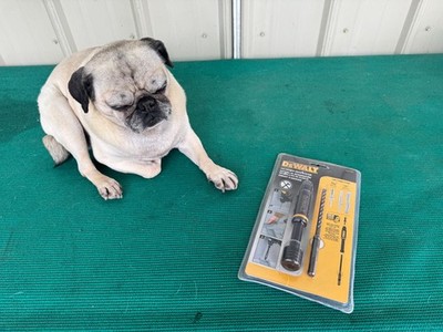 DeWalt DW5517PAD Pin Anchor Drive System Roto-Hammer SDS Plus Bit Accessory 1/4