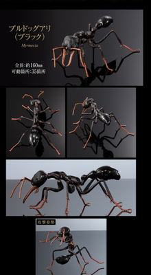 The Diversity of Life on Earth Advance Bulldog Ant Online Version