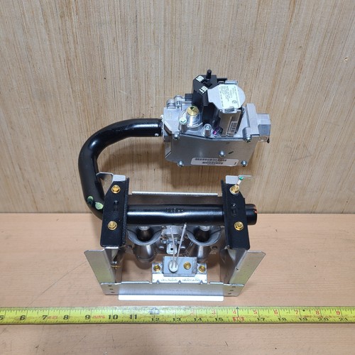 ACiQ Gasofen Gasventil mit Inshot 2 Brenner Baugruppe aus N95ESN0101410A1 - Bild 1 von 24