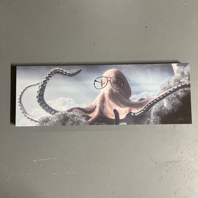 Octopus  Wall Art    23.5  X 8.5 