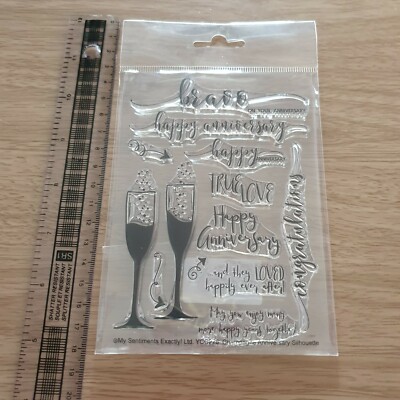 My Sentiments Exactly Champangne Anniversary SILHOUETTE A6 Clear Stamps 