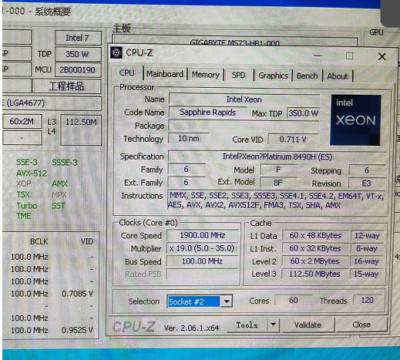 Intel Xeon Platinum 8490H QS 60C/120T 1.9-2.9GHz LGA4677 Server