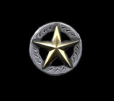 Western Lodge Cabin Kitchen Decor 1 1/2" Gold Star Concho Drawer Pulls (6)