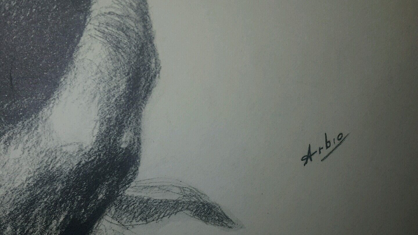 Picture 2 of 4