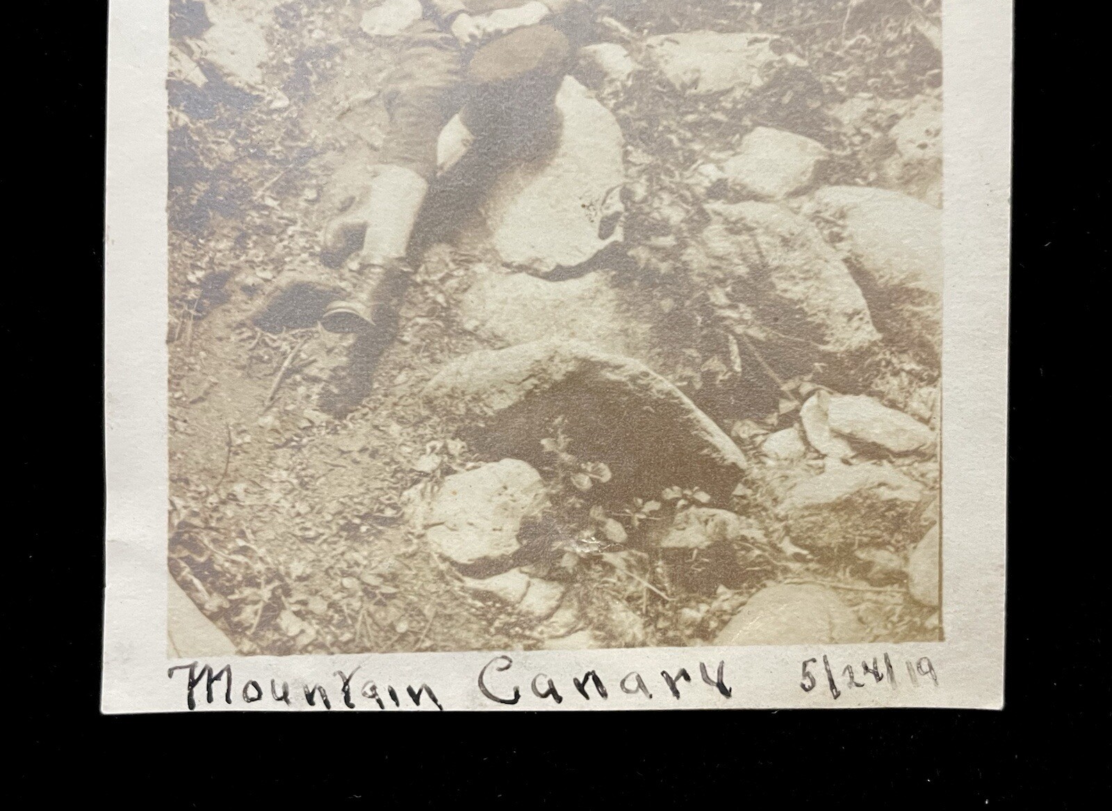 Foto 4 di 5