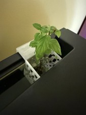 Aquarium Hang On Back Plant Pot Fish Tank Hang In Planter Pot