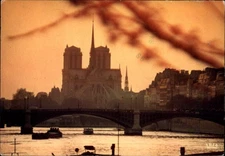 Notre Dame Paris vintage postcard p123