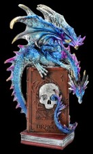 Drachen Figur auf Buch - a Tale of Dragons - Gothic Fantasy Deko h: 22 Geschenk
