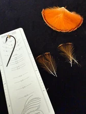 Vintage Peruvian Cock of The Rock Crest feathers