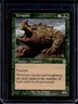 2001 Magic MTG Odyssey Terravore #278