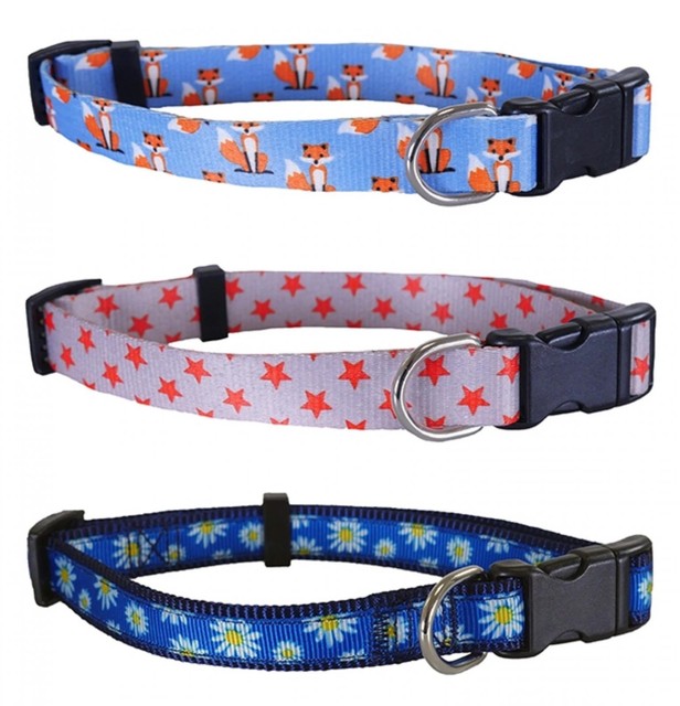 rosewood dog collars and leads