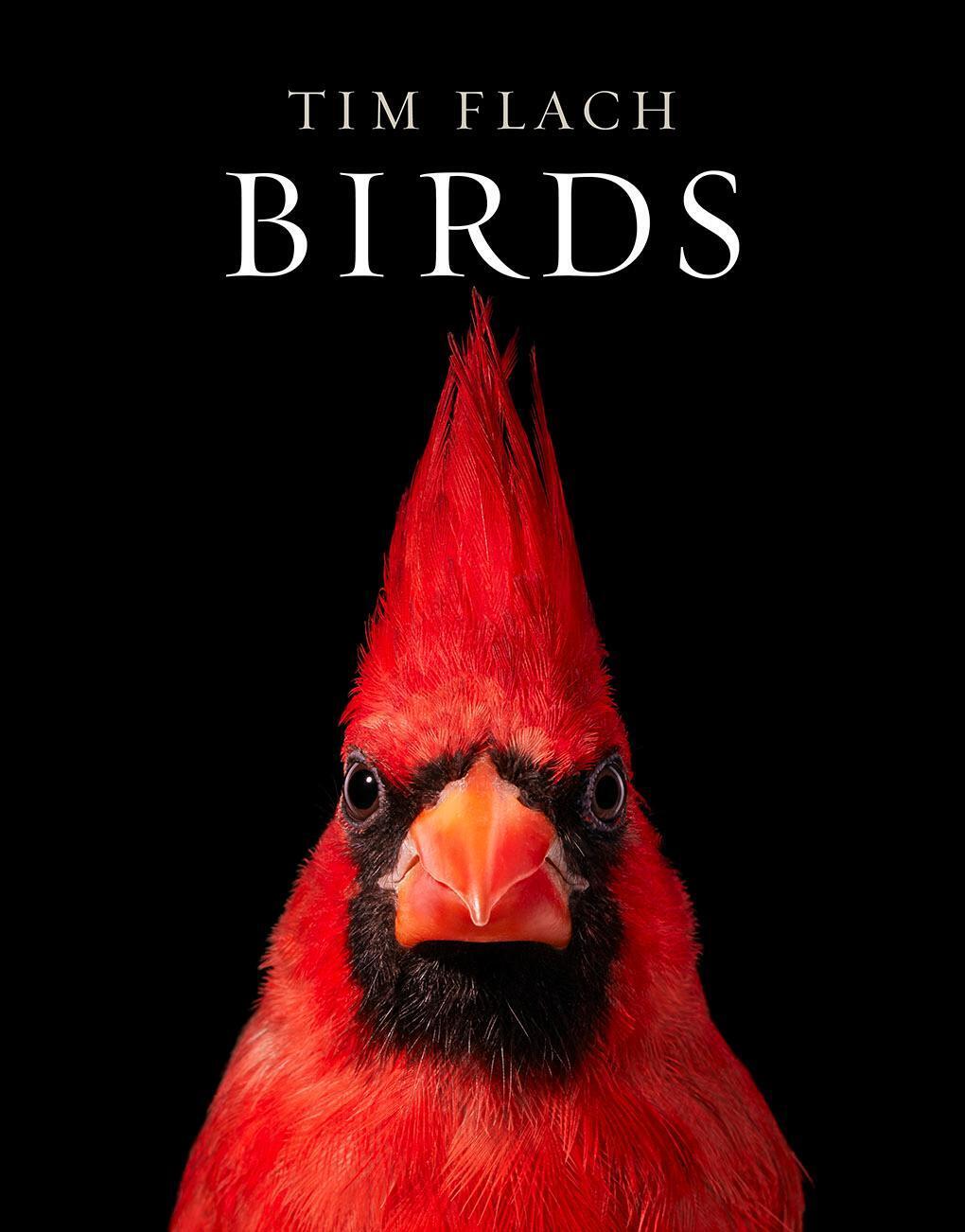 Thumbnail - Birds Tim Flach Buch 336 S. Englisch 2021 Abrams & Chronicle Books