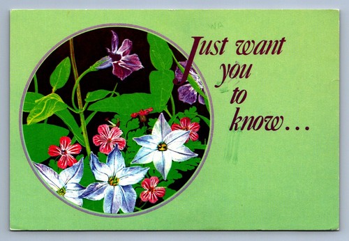 Postcard Vtg Greeting Just Want You To Know Flowers 4x6