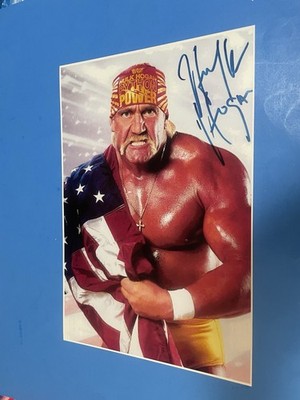 WWWF WCW WRESTLING HULK HOGAN PYTHON POWER 12x18 POSTER BRAND NEW.