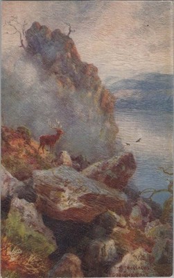 Divided Back Postcard Trossachs Scotland UK Stag at Goblin's Cave