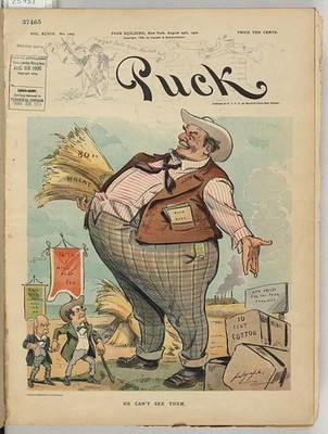 William Jennings Bryan Adlai Stevenson 1900 Puck Cartoon He Cant See Them