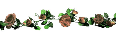 Rose Garland Set of 2 68in Coffee