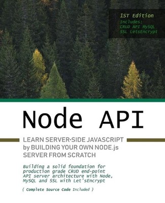 Node.js API: Learn server-side JavaScript by building your own Node.js server fr