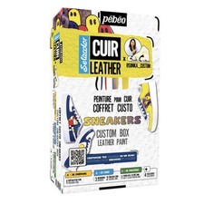 Setacolor Leather Paint Sneakers Custom Box