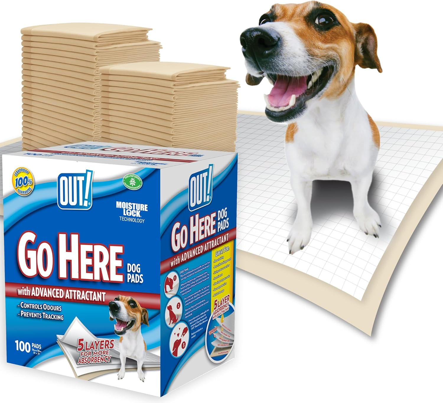 Vai Qui Assorbenti Pad per Cani E Cuccioli, Confezione Da 100