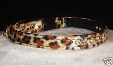 Petacc Collar De Mascota De Nylon Conjunto De Perro Reflexivo De Plomo