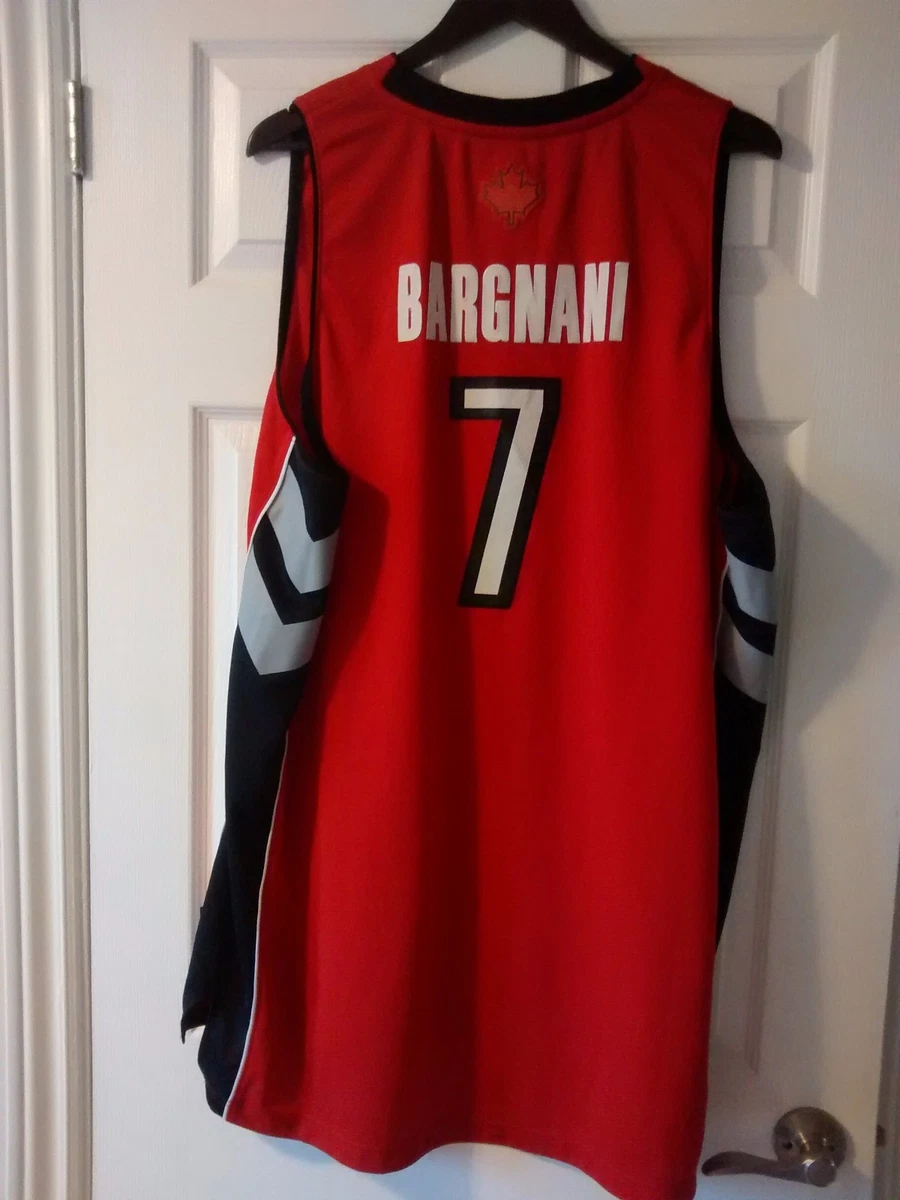 Toronto raptors cheap replica jersey