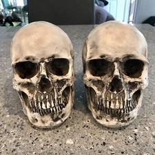 2pcs Skull Heads Resin 6  High Skeleton Figure Halloween Decor Decoration