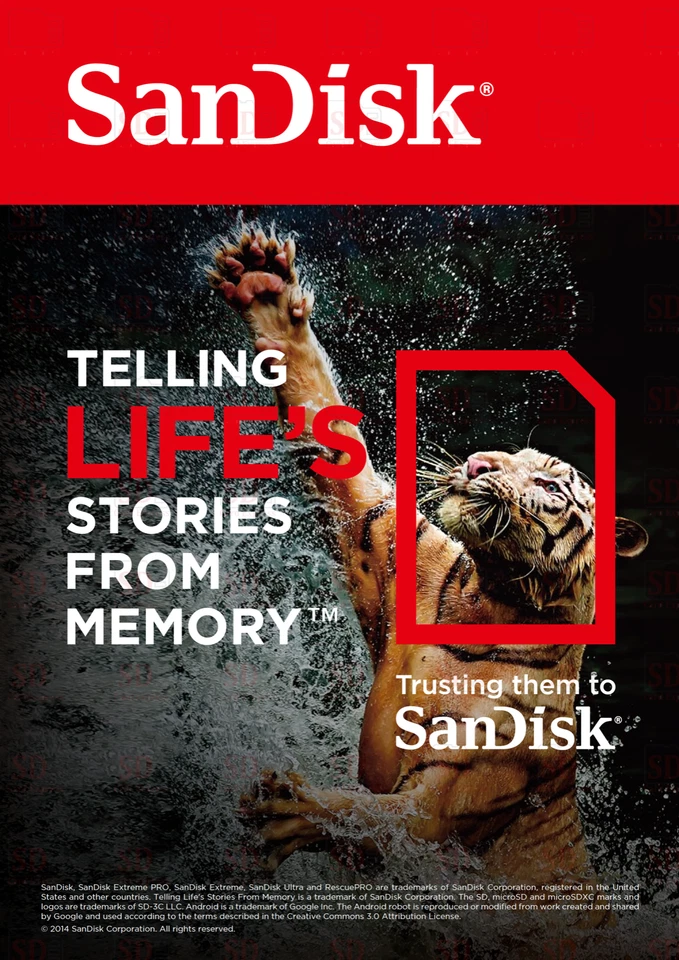 Genuine SanDisk 32GB 64GB 128GB 256GB Micro SD Memory Card Class 10 SDHC SDXC TF - Image 3 of 4