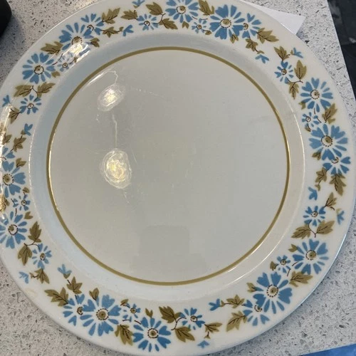 3 Mikasa Mediterrania Dinner Plates Blue Flowering 4083 Oven To Table