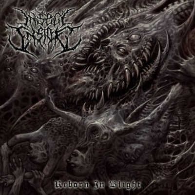 *PRESALE* INSECT INSIDE: REBORN IN BLIGHT - CD