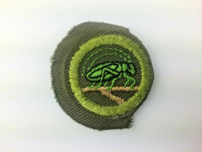 VTG Boy Scout Merit Badge INSECT LIFE Type E Khaki Crimped 1947-1960