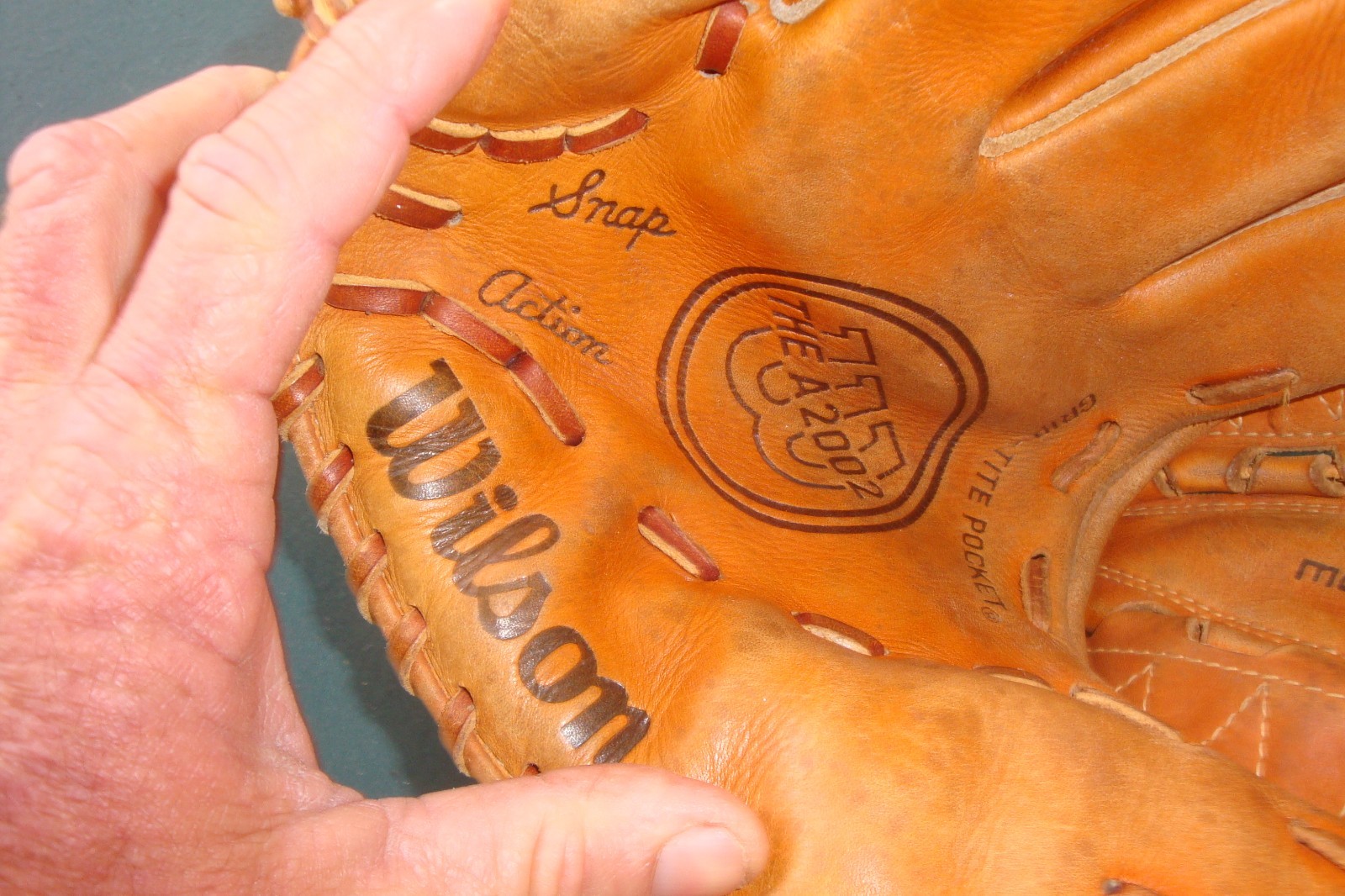 Wilson Baseball Wilson Baseball