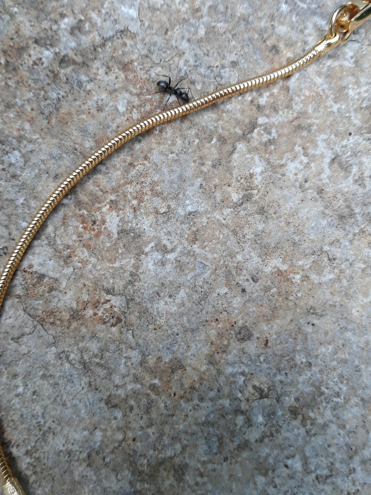 Picture 6 of 10