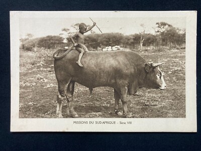 Kleiner einheimischer Junge sitzt auf großem Stier Afrika Vintage Postkarte B31