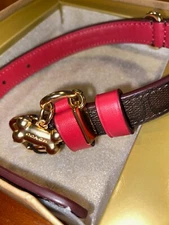 NIB Coach Signature Dog Pet Collar Brown Black Red Apple Small