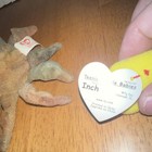 Ty Teenie Beanie Babies Nook the Husky Claude the Crab Inch Plush Lot — photo 4