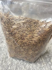 Small Pet Food 1lb - Hamster, Hedgehog, Bird, Parrot, Dried Worms