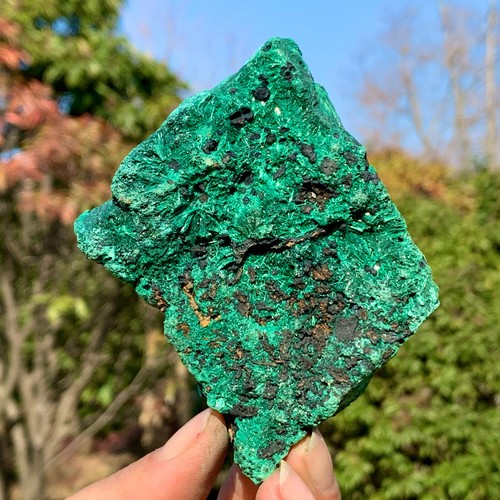 219G Natural VELVET Malachite cat's eye specimen crystal rough mineral-Congo
