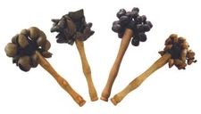 Stick Shaker Set (Juju Chacha Pangi Belirik) Hand bell Percussion Accessories